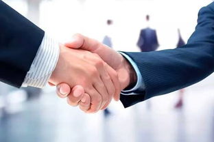 免费广告服务，诚心回馈莎粉支持