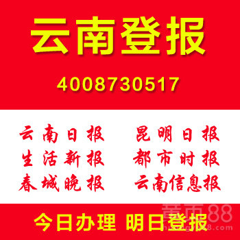 云南丽江登报网络广告服务合同