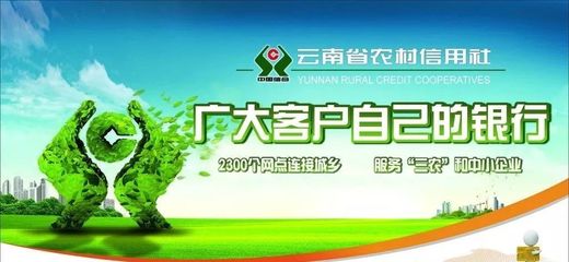 关于麻栗坡县农村信用合作联社原社员股金处置意见的公告